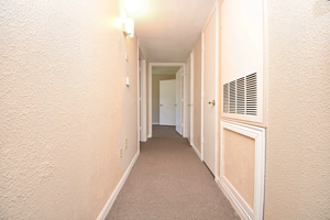 Bayview 11